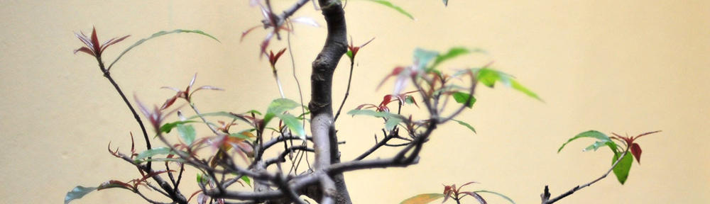 山东全民富商贸有限公司